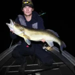 Suuri kuha yö-kalastusretkellä Saimaalla.