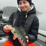 Onnistunut ahvenkalastusretki Saimaalla ammattioppaan johdolla.