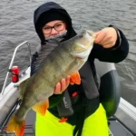 Massiivinen ahven jigikalastamalla Saimaalta ammattilaisoppaan johdolla.