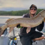 Valtava jättihauki saaliina heittokalastamalla Saimaalla – Hauenkalastus ja opastetut kalastusretket.