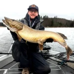 Suuri hauki saaliina opastetulla kalastusretkellä Saimaalla. Etelä-Karjala