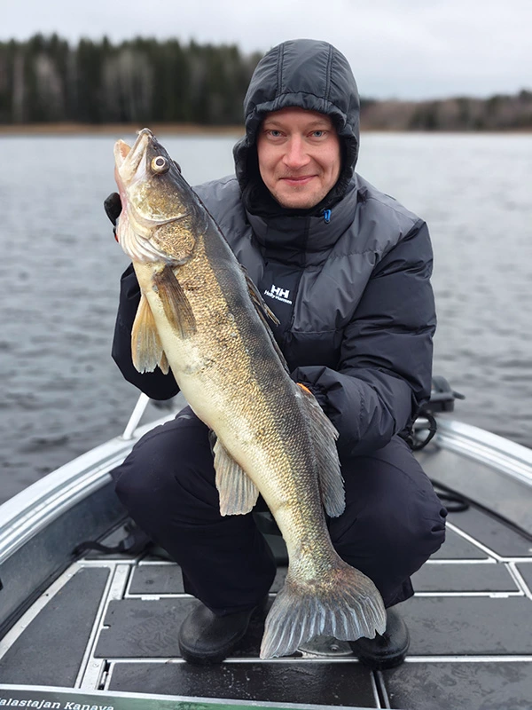 Suuri kuha opastetulta kalastusretkeltä Saimaalla – Southeast Fishing Finland.