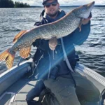 Jättihauki kalastusretkellä Saimaalta.