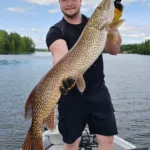 Jättihauki opastetulla kalastusretkellä Saimaalla – Kalastusta Suomessa.