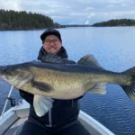Jättikokoinen suurkuha saaliina Saimaalla. Southeast fishing Finland