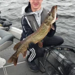 opastettu hauen kalastusretki Saimaalla.