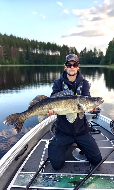 Suuri kuha opastetulla kalastusretkellä Saimaalla. Etelä-Karjala
