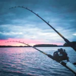 Maisemakuva opastetulla uisteluretkellä Saimaalla.