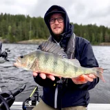 Suuri ahven saaliina Saimaalta – Southeast Fishing Finland.