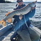 Jättihauki kalastusretkellä Saimaalta.