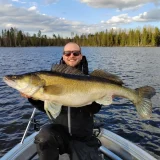 Jättikokoinen kuha saaliina opastetulla kalastusretkellä Saimaalla. Suurkuhan kalastus Suomessa