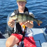 Onnistunut ahvenen kalastus opastetun kalastuspäivän aikana Saimaalla. Etelä-Karjala